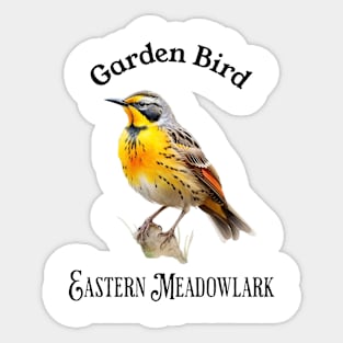 Garden Bird Eastern Meadowlark Sticker